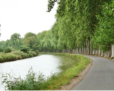 Biking along the Canal du Midi