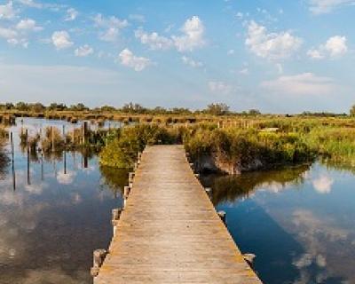 Camargue Natonal Reserve Park