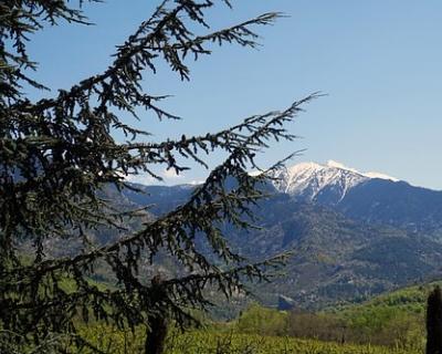 Le massif des Albres