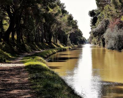 Le canal du Midi à vélo